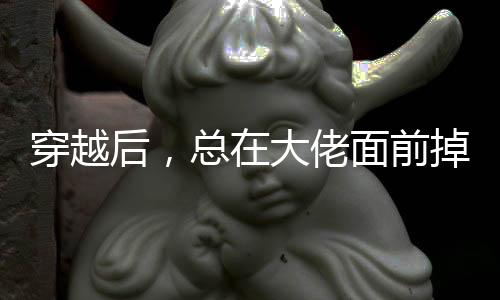 《夫人你马甲又掉了》全文在线阅读