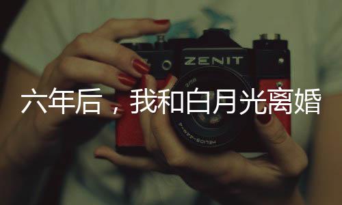 《夫人你马甲又掉了》全文在线阅读