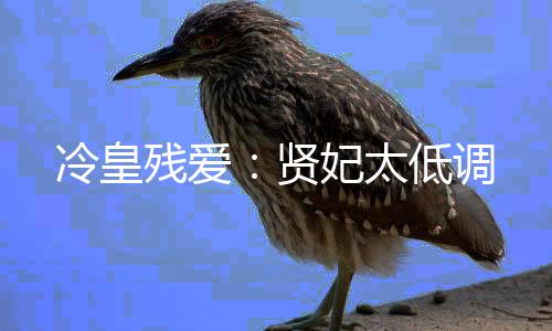 《黄泉快递：亲，记得五星好评哟》全文在线阅读