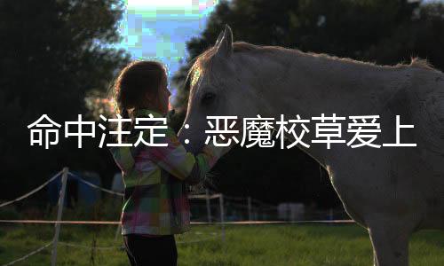 《全网黑后我在军旅综艺杀疯了》全文在线阅读