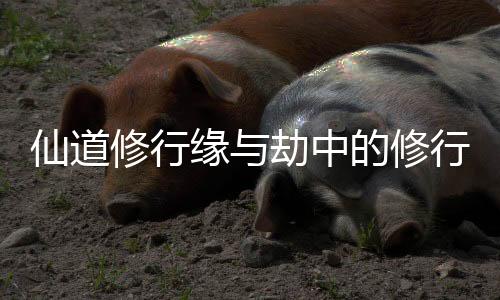 《被夺一切后她封神回归》全文在线阅读