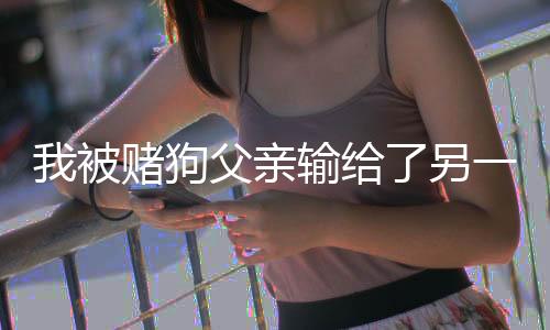 《穿书年代小可怜，奋斗逆袭不炮灰》全文在线阅读