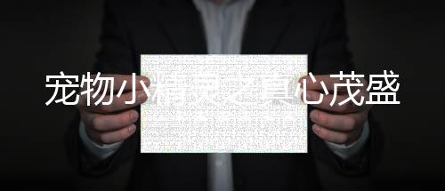 《夫人每天都在线打脸》全文在线阅读