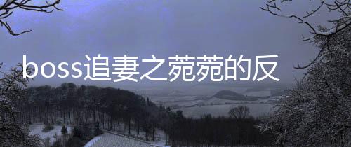 《恰似寒光遇骄阳》全文在线阅读